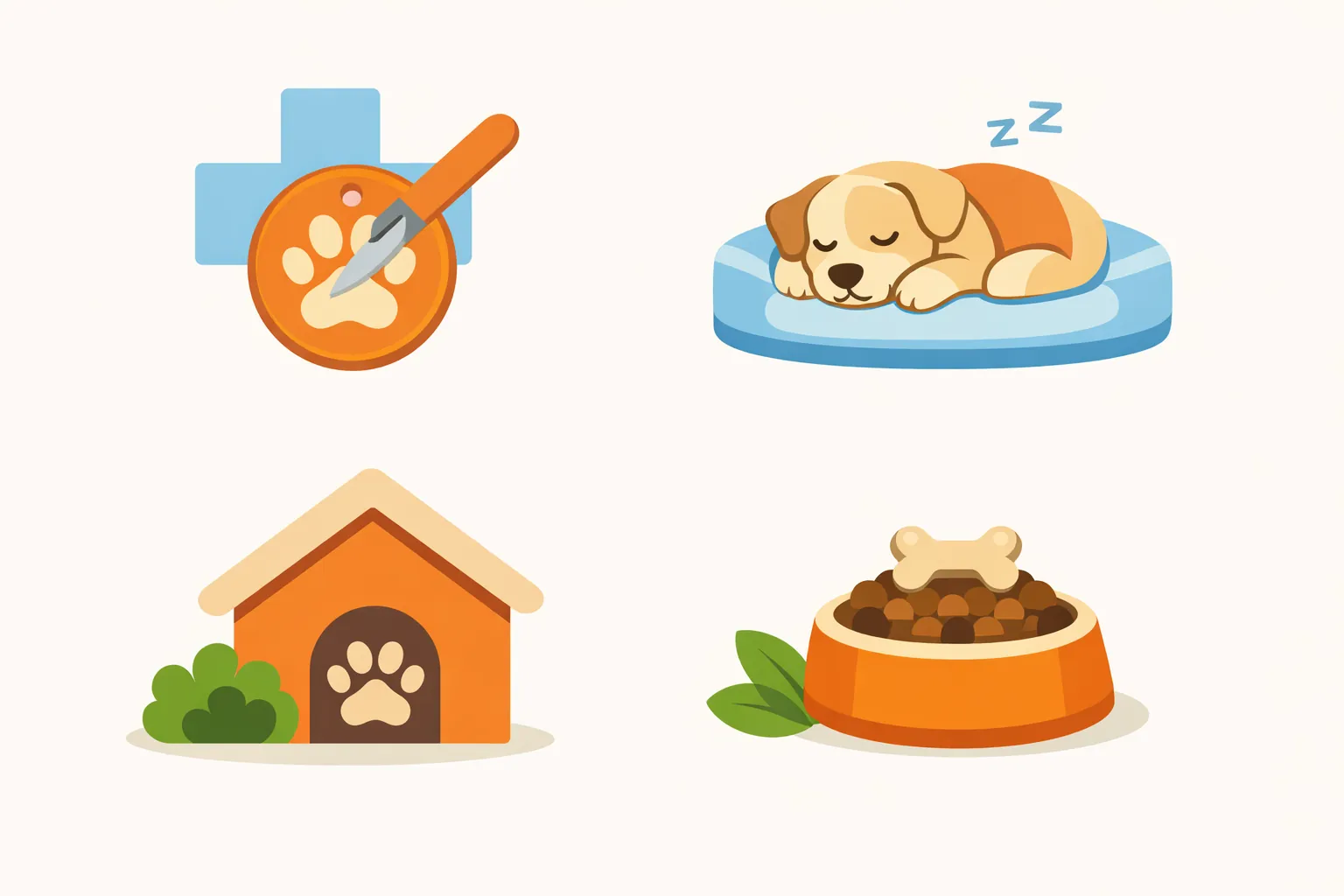 infographie causes prise de poids soudaine chien stérilisation convalescence changement mode de vie alimentation